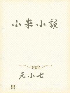 小米小说