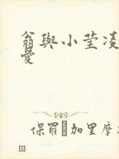 翁与小莹凌晨欢爱