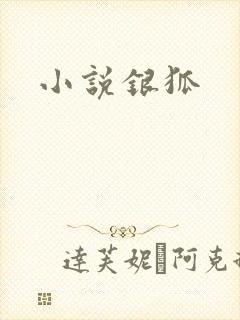 小说银狐