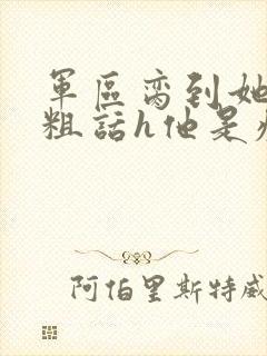 军区脔到她哭h粗话h他是疯批