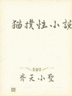 猫扑性小说