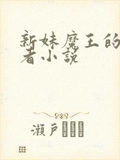 新妹魔王的契约者小说
