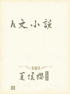 h文小说