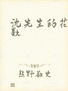 沈先生的花式调数