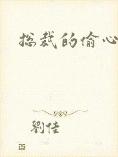 总裁的偷心娇妻