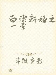 白洁新婚之夜第一章