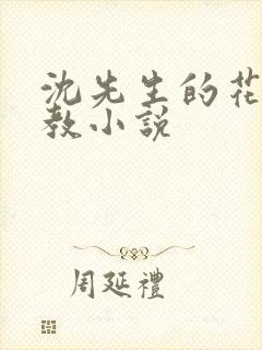 沈先生的花式调教小说