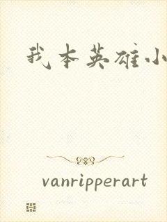 我本英雄小说