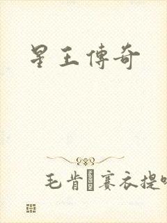 星王传奇