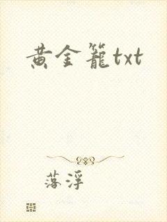 黄金笼txt
