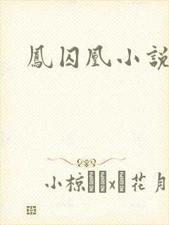 凤囚凰小说
