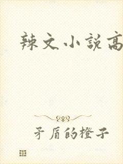 辣文小说高h