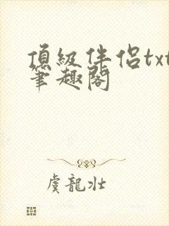 顶级伴侣txt笔趣阁