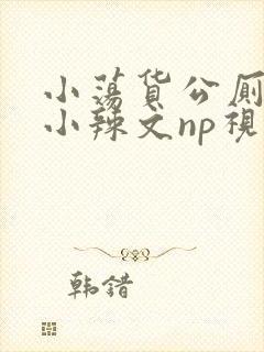 小荡货公厕h文小辣文np视频