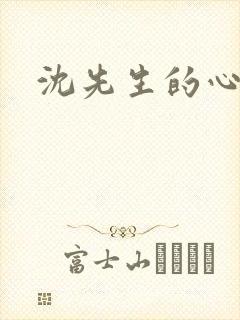 沈先生的心头宝