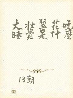 大壮翠花晚上不睡觉是什么电视剧