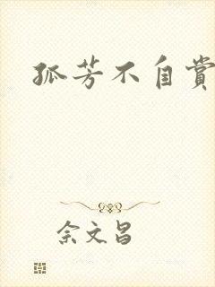 孤芳不自赏小说