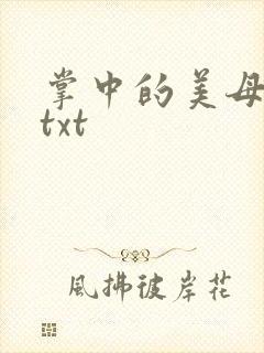 掌中的美母版主txt