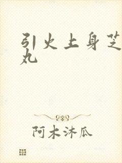 引火上身芝麻糖丸