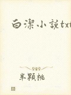 白洁小说txt