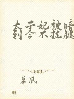 太子妃被暗卫C到合不拢腿