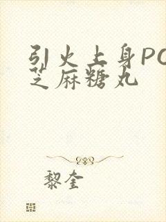 引火上身POP芝麻糖丸