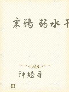 寒鸦 弱水千流