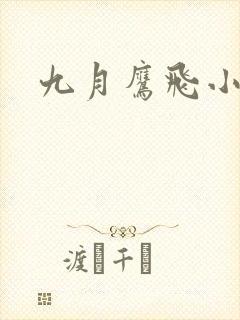 九月鹰飞小说