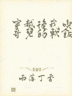 穿越后我吃到了哥儿的软饭炉山灰