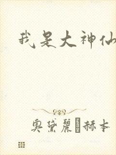 我是大神仙小说