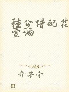 种公借配花间一壶酒