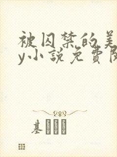 被囚禁的美人by小说免费阅读