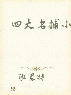 四大名捕小说