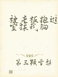 被老板抱进办公室揉我胸