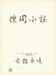 搜同小说