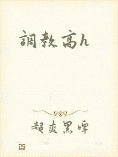 调教高h