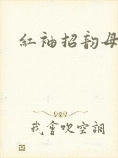 红袖招韵母攻略