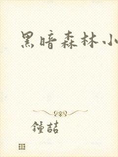黑暗森林小说