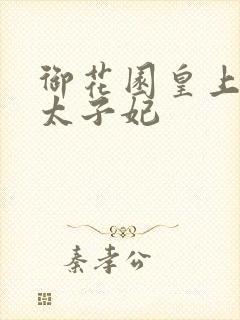 御花园皇上撞着太子妃