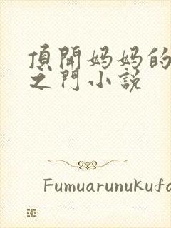 顶开妈妈的生命之门小说