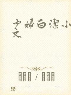 少妇白洁小说全文