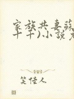 家族共妻苏苏(十千)小说免费