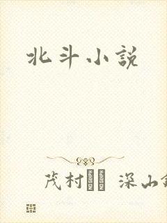 北斗小说