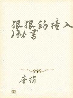 狠狠的撞入(h)秘书