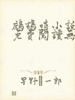 鹧鸪哨小说网站免费阅读无弹窗