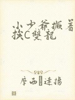 小少爷撅着屁股挨C双龙