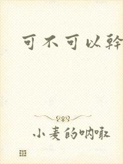 可不可以干湿你