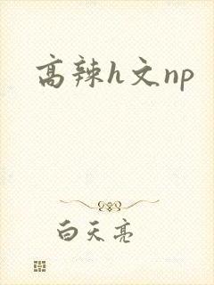 高辣h文np