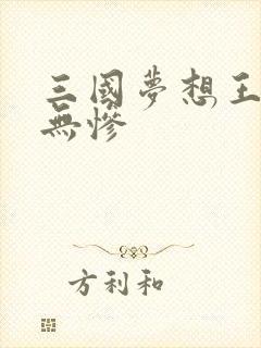 三国梦想王元姬无惨