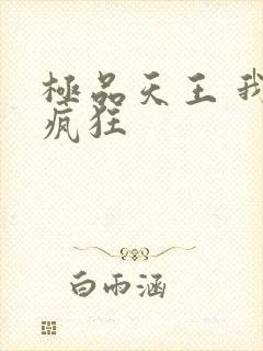 极品天王 我本疯狂